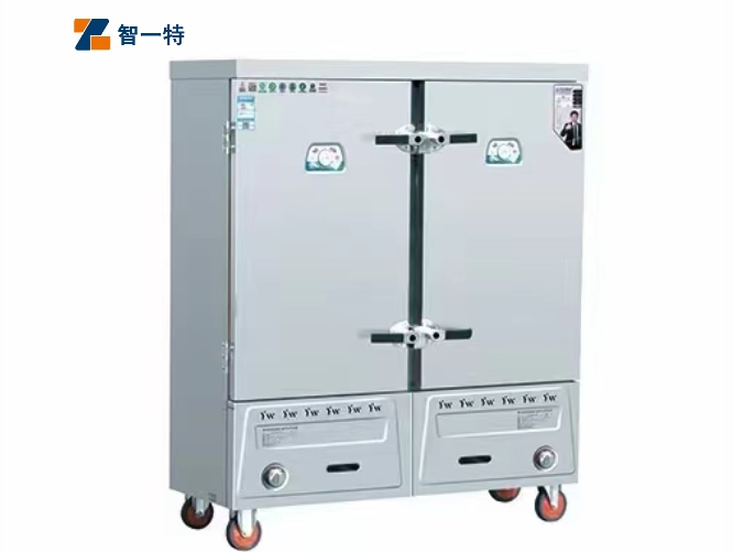 雙門燃?xì)庹麸堒? /></div>
                            <div   class=